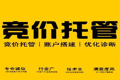 竞价开户推广案例实战案例分析